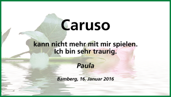 Anzeige von Caruso  von MGO
