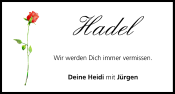 Anzeige von Hadel  von MGO