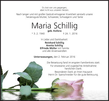 Anzeige von Maria Schillig von MGO