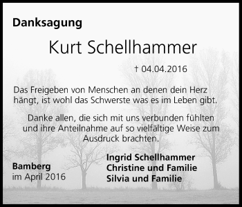 Anzeige von Kurt Schellhammer von MGO
