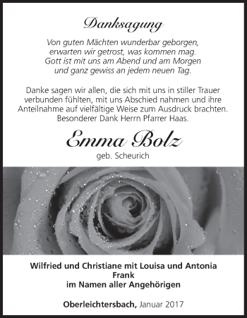 Anzeige von Emma Bolz von MGO