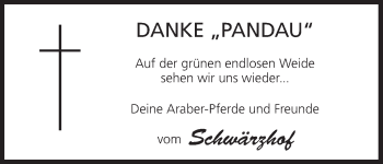 Anzeige von Pandau  von MGO