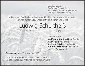 Anzeige von Ludwig Schultheiß von MGO