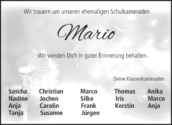 Anzeige von Mario  von MGO