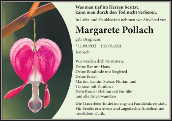 Anzeige von Margarete Pollach von MGO