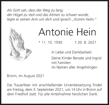 Anzeige von Antonie Hein von MGO