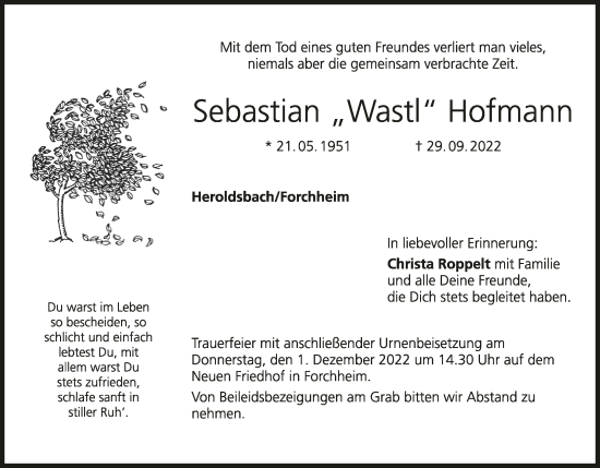 Anzeige von Sebastian  Hofmann von MGO