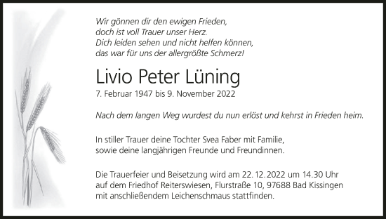 Anzeige von Livio Peter Lüning von MGO