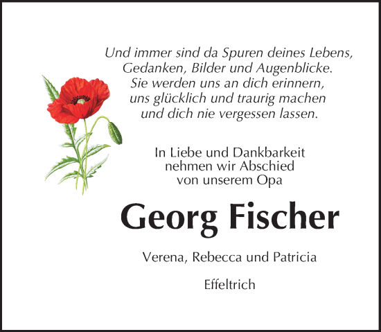 Anzeige von Georg Fischer von MGO
