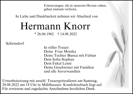 Anzeige von Hermann Knorr von MGO