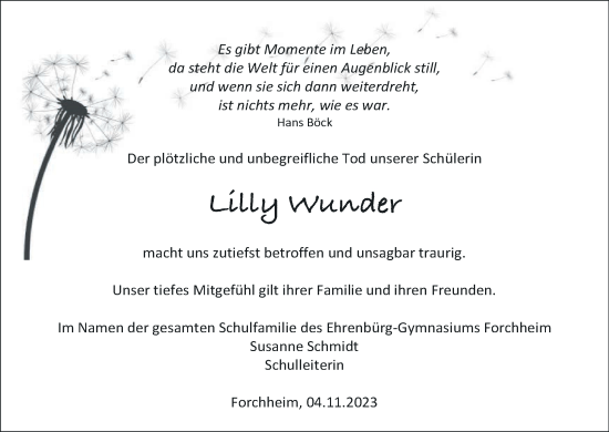 Anzeige von Lilly Wunder von MGO