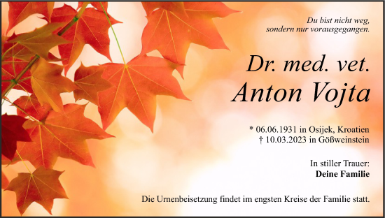 Anzeige von Anton Vojta von MGO