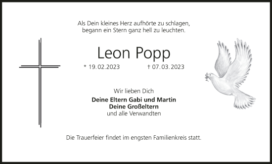Anzeige von Leon Popp von MGO