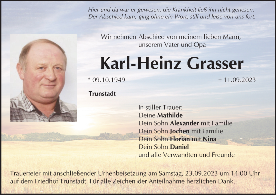 Anzeige von Karl-Heinz Grasser von MGO