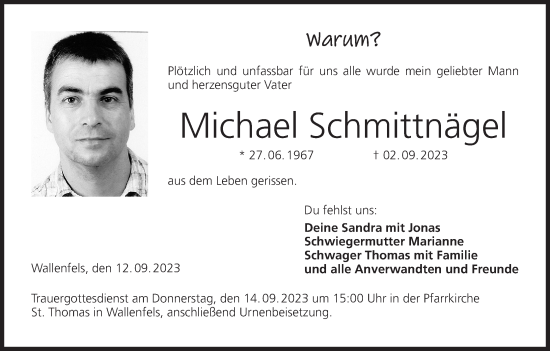 Anzeige von Michael Schmittnägel von MGO