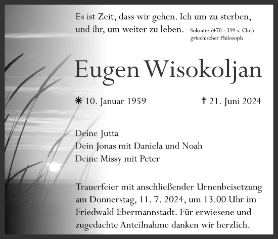 Anzeige von Eugen Wisokoljan von MGO