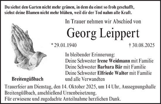 Anzeige von Georg Leippert von MGO