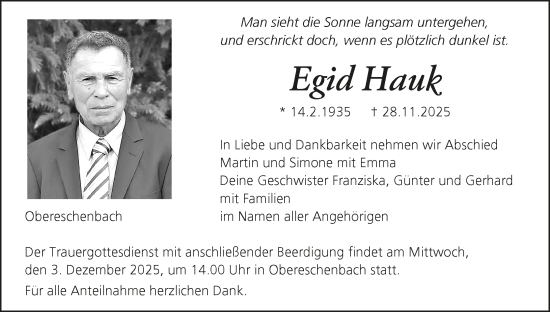 Anzeige von Egid Hauk von MGO