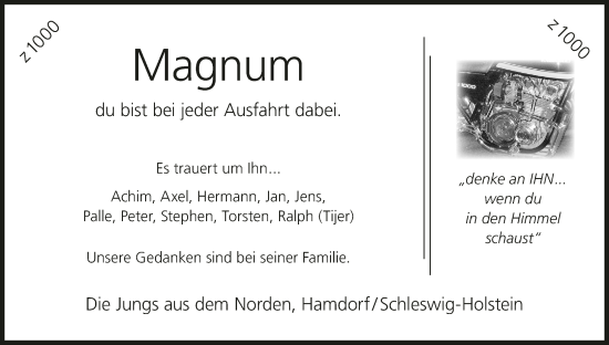 Anzeige von Magnum  von MGO