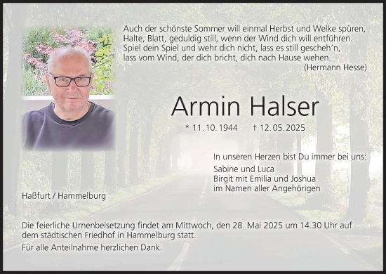 Anzeige von Armin Halser von MGO