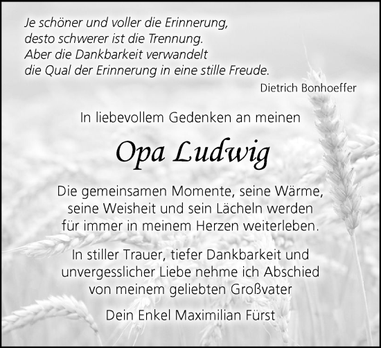 Anzeige von Ludwig  von MGO