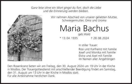 Anzeige von Maria Bachus von MGO