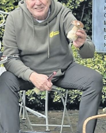 Profilbild Harald Will