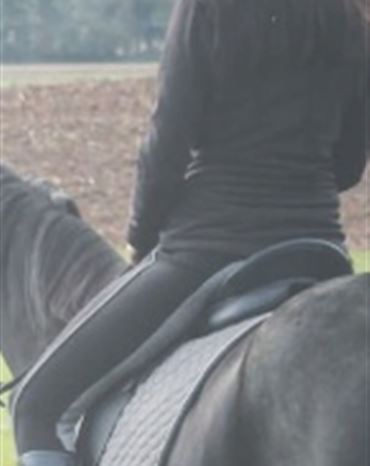 Profilbild Sandra Voll