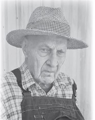 Profilbild von Werner Lanz