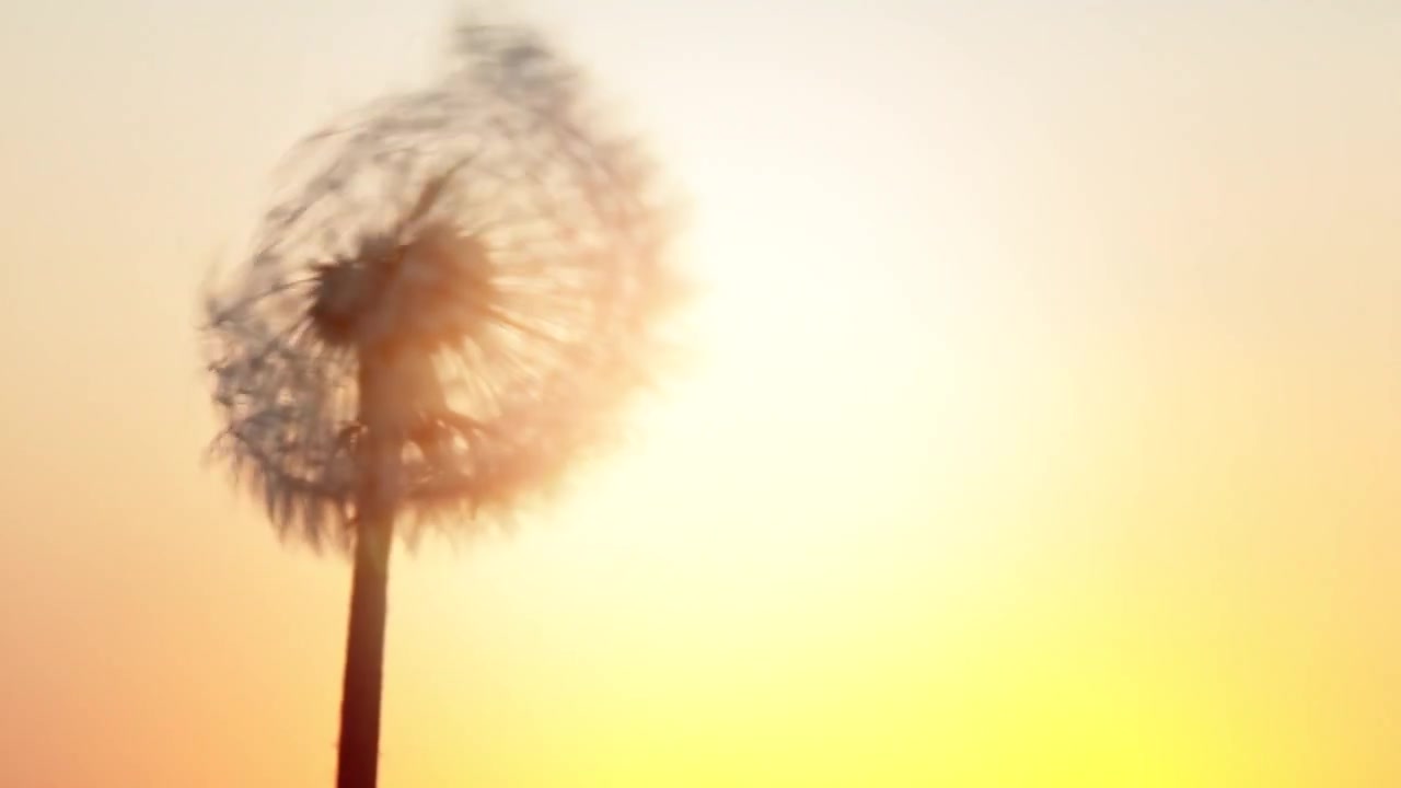 Video zur Traueranzeige 1