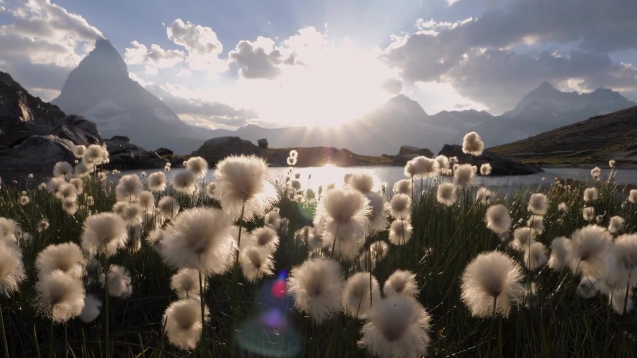 Video zur Traueranzeige 1